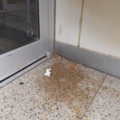 Café Publik (DSVDV)