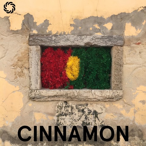 Archive // 001 - Cinnamon (Original Mix)