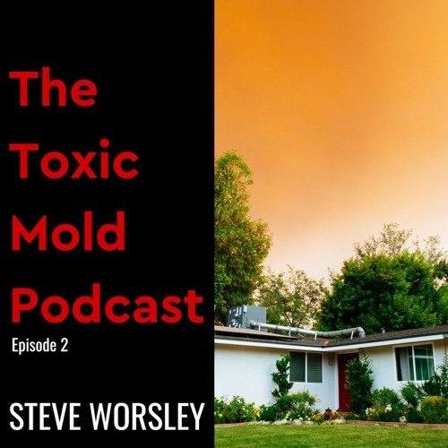 EP 2: Where does mold live in my house?