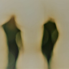 April - Tú que vienes a rondarme (Maria Arnal i Marcel Bagés cover)