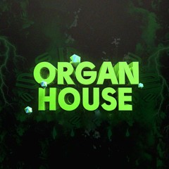 Enigma - Euphoria (Organ House 2010)