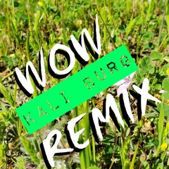 WOW RMX-KALI BURG