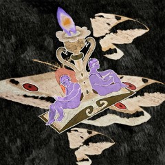 Elli - Rosebush