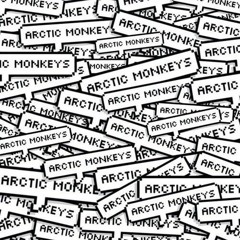 Arctic Monkeys - Fluorescent Adolescent Live at Reading Festival [HQ]
