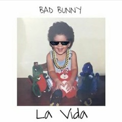 Bad Bunny - La Vida ( Instrumental ) ReProd. Elias