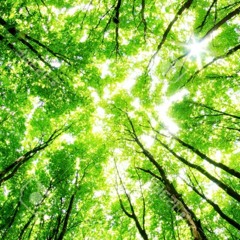 stuck there X Mbk jay