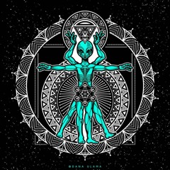 [High Bpm][Hi-Tech, DarkPsy, Psytrance][๏ยєг Ŧן๏ฬ]