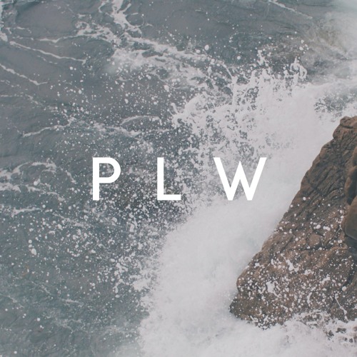 We Do What We Want (PunaniPete Remix)