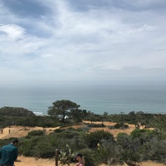 I Think I Saw You In Bio