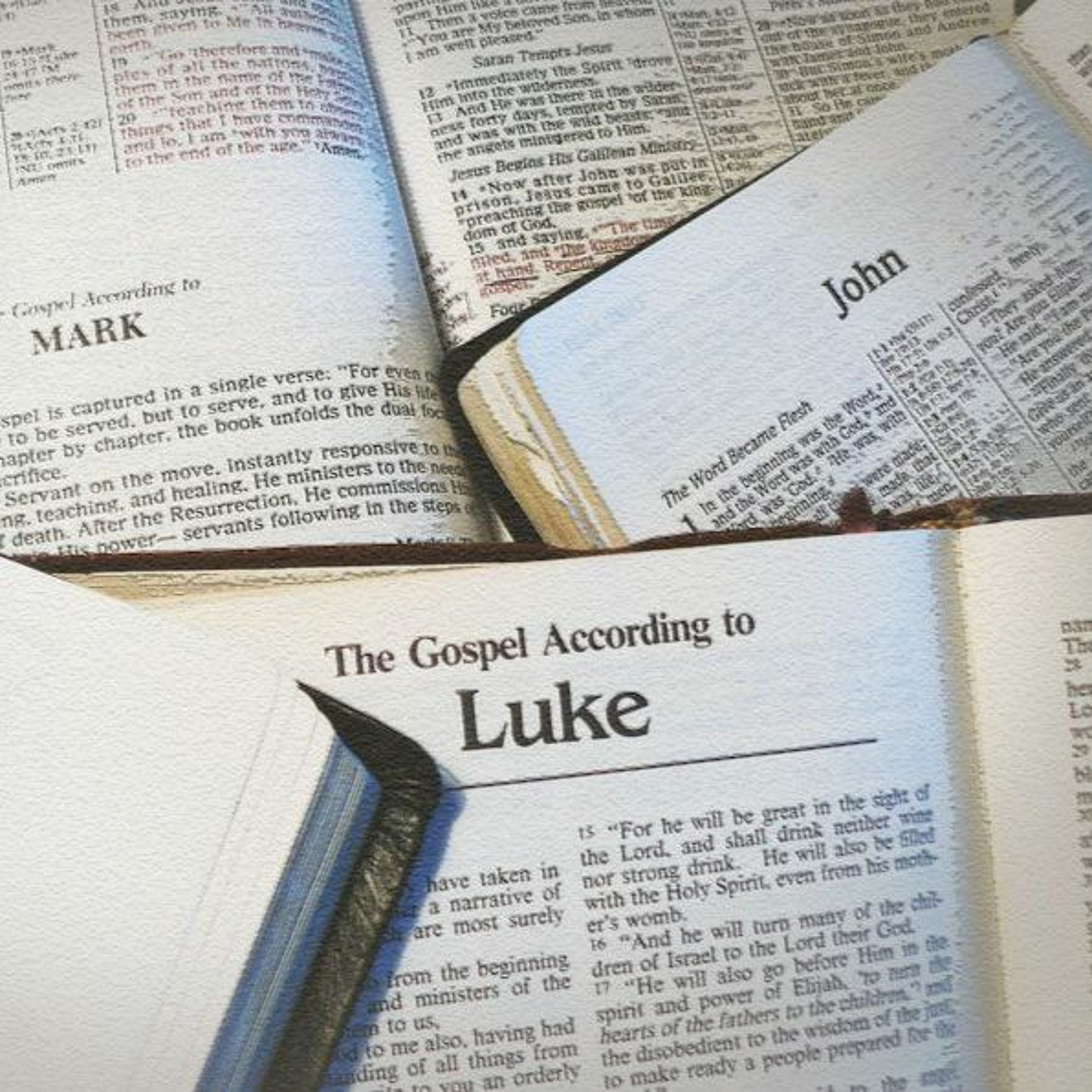 MERCYhouse University