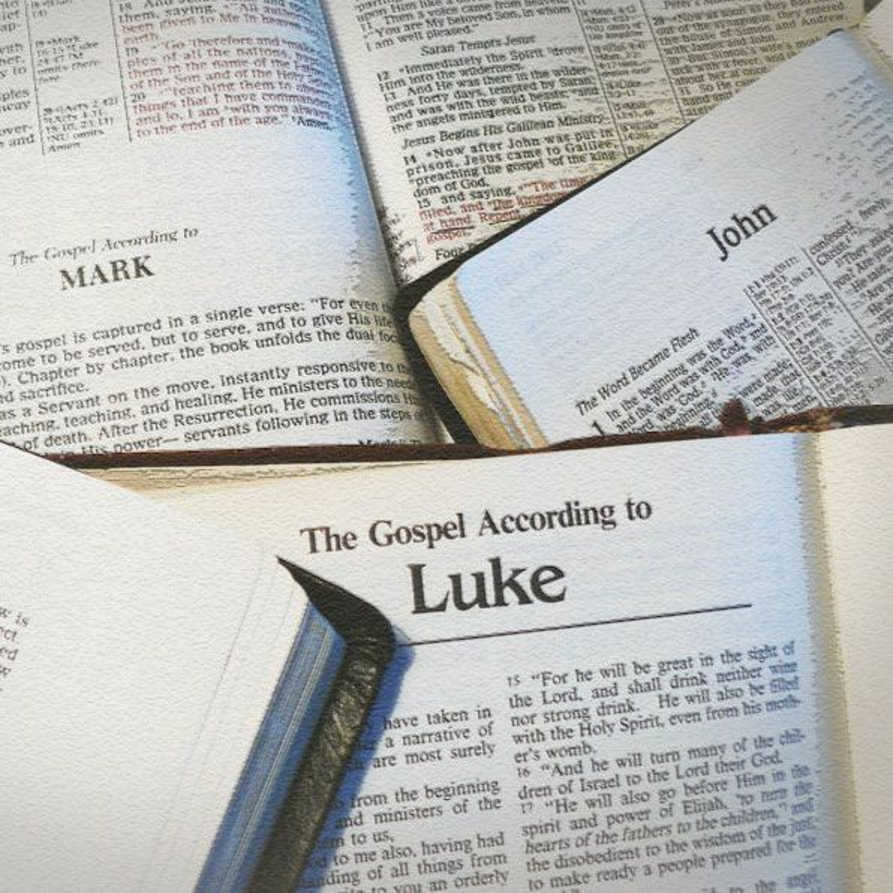 MERCYhouse University