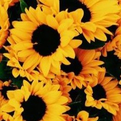 انا في جاه النبي تكرم عبيدك والنبي انا حبيب النبي يوعدكوا يا رب بالنبي <3