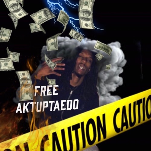 FreeTaedo