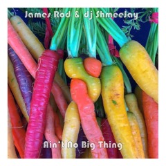 James Rod & dj ShmeeJay - Ain't No Big Thing