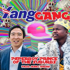 Paperboy Prince of the Suburbs - Yang Gang Anthem