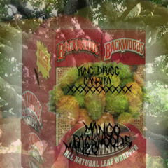 Yung Drugg-"I Love When Hustle Crow Comes Over"(prod by Lesky & Phlocalyst)