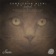 Zombies In Miami - Odissey (Massimiliano Pagliara Remix)