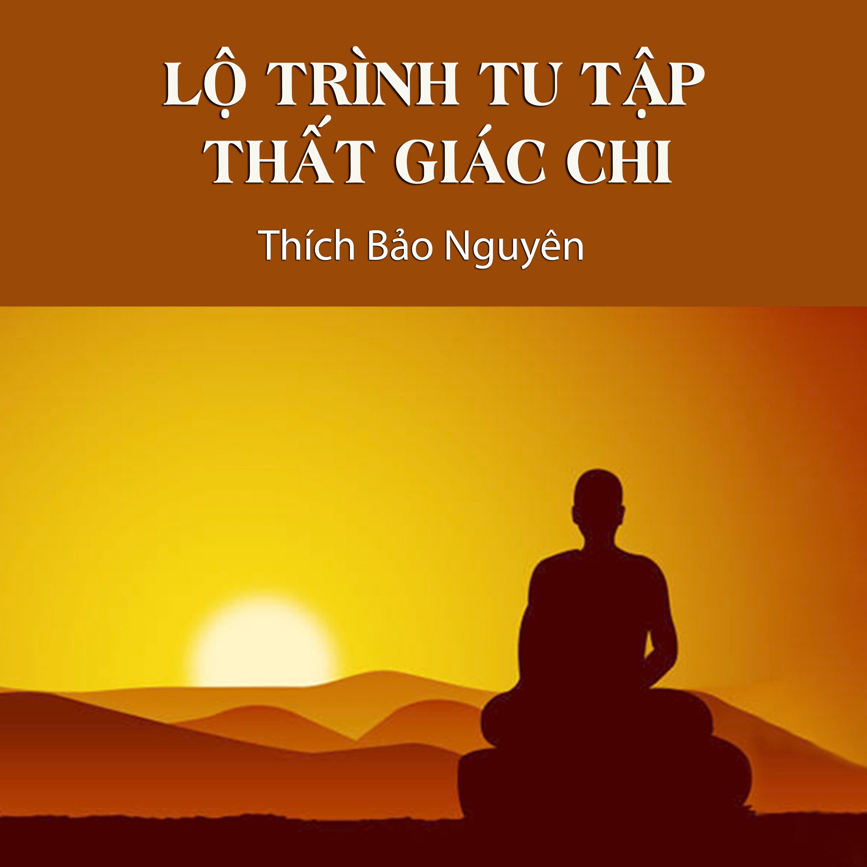 Lộ Trình Tu Tập Thất Giác Chi episode artwork