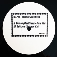 Harmony (Paul Shapiro Flute Mix)