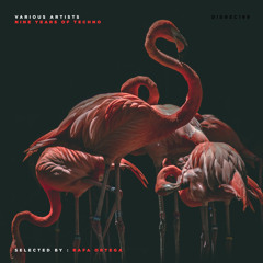 Rafa Ortega - Coliseum [DIDREC169]