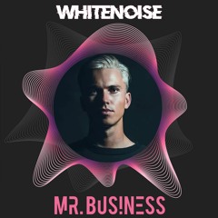 Mr. Business @ Whitenoise (Live Set)