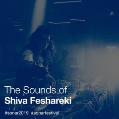 The Sounds of Shiva Feshareki