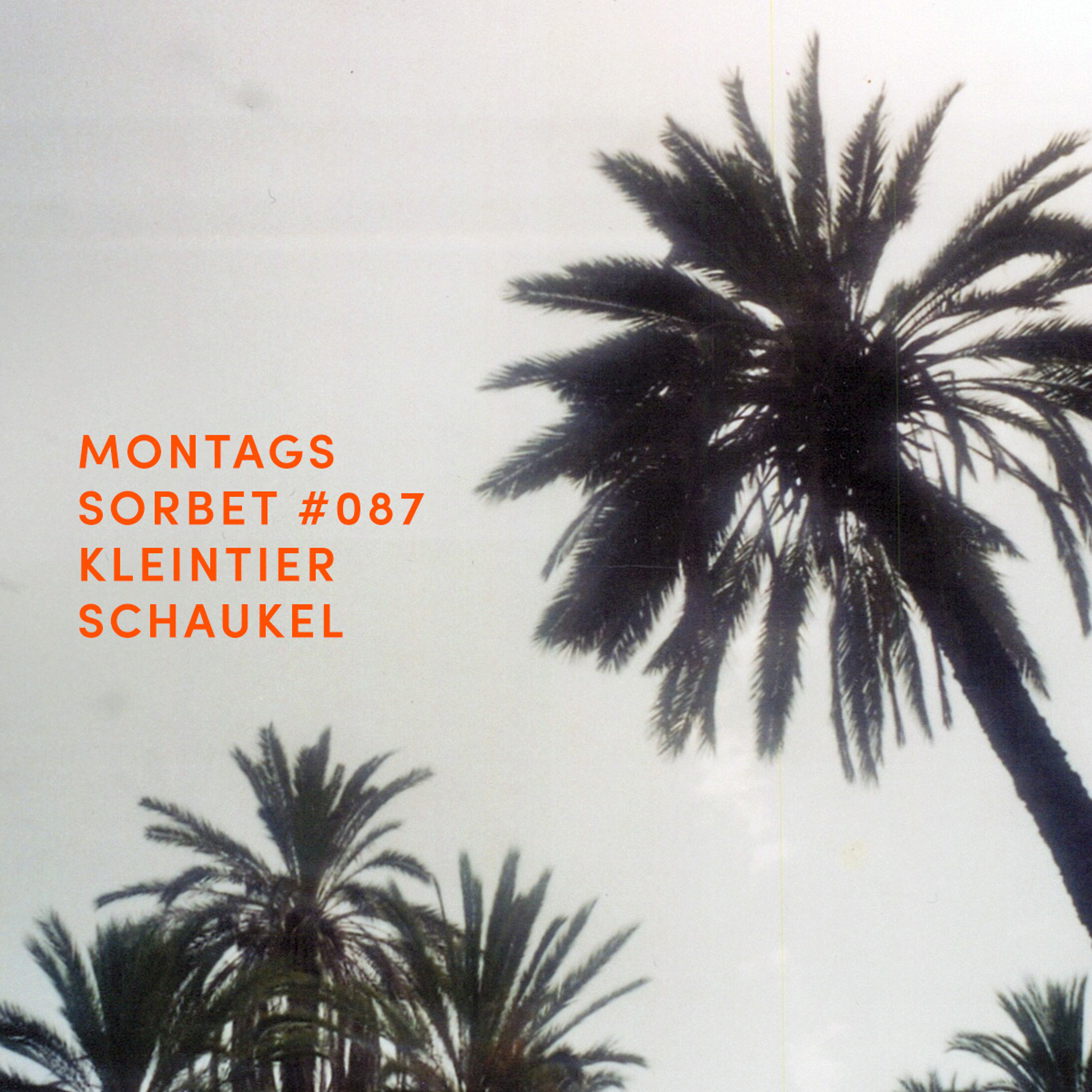 Montagssorbet mit Laut & Luise