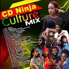 CD Ninja Culture 4/19
