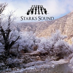 07 Classical - Travis Wattigney - "Impetus For Trumpet"