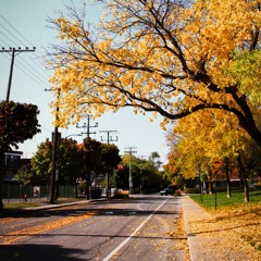 Autumn walking song