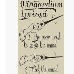 Wingardium Leviosa GIRO LOGIK (Harry Potter)