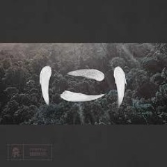 SLUMBERJACK - "Hide and Seek" Strawzilla Remix