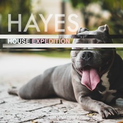 Tech house exploration