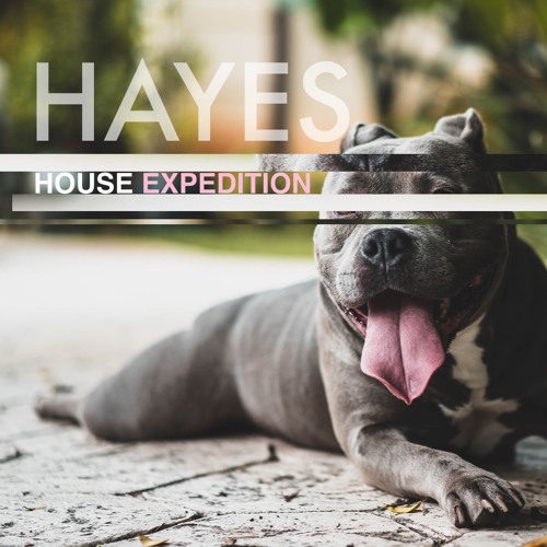 Tech house exploration