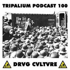Tripalium Podcast 100 - Drvg Cvltvre