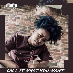 I would (Outro)