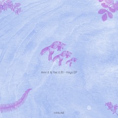 Amr.it & Yas (LB) - Emerson (Original Mix)
