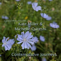 Contemplative Journeys | Kate Miller | Michelle Qureshi
