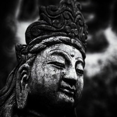 Buddha On Acid