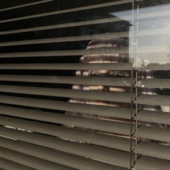In The Room Where The Sunlight Paints The Western Wall
