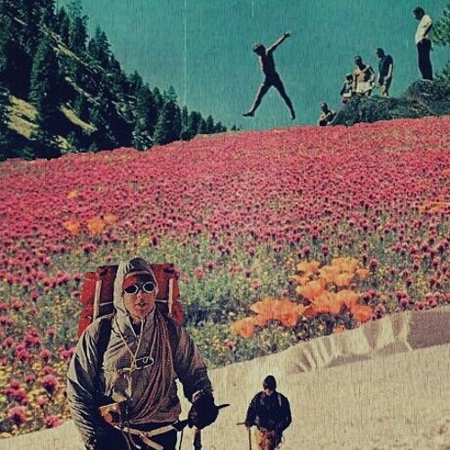 w/ organic_kid - Wild kids