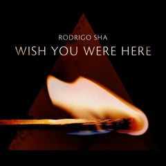 Rodrigo Sha - Wish You Were Here (Original Mix)