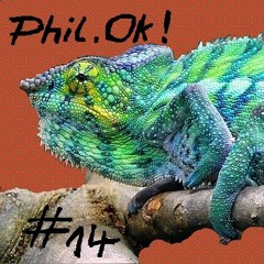 chameleon #14  Phil.Ok! - Soul Elevator