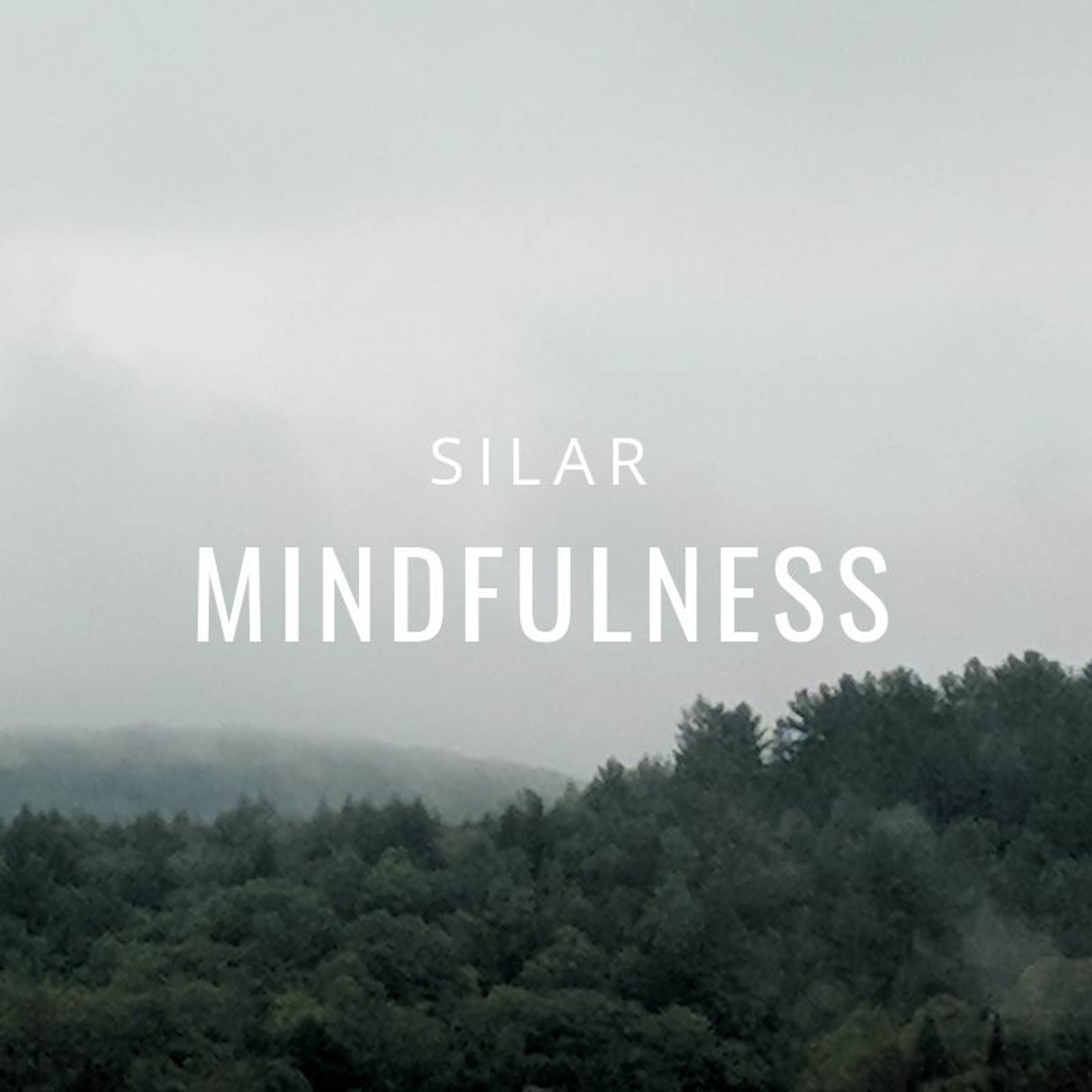 Mindfulness