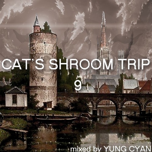 Cat's Shroom Trip 9 (MAY 2019 RIDDIM MIXTAPE)