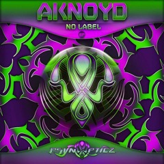 01. Aknoyd - Absolute Problem - 148