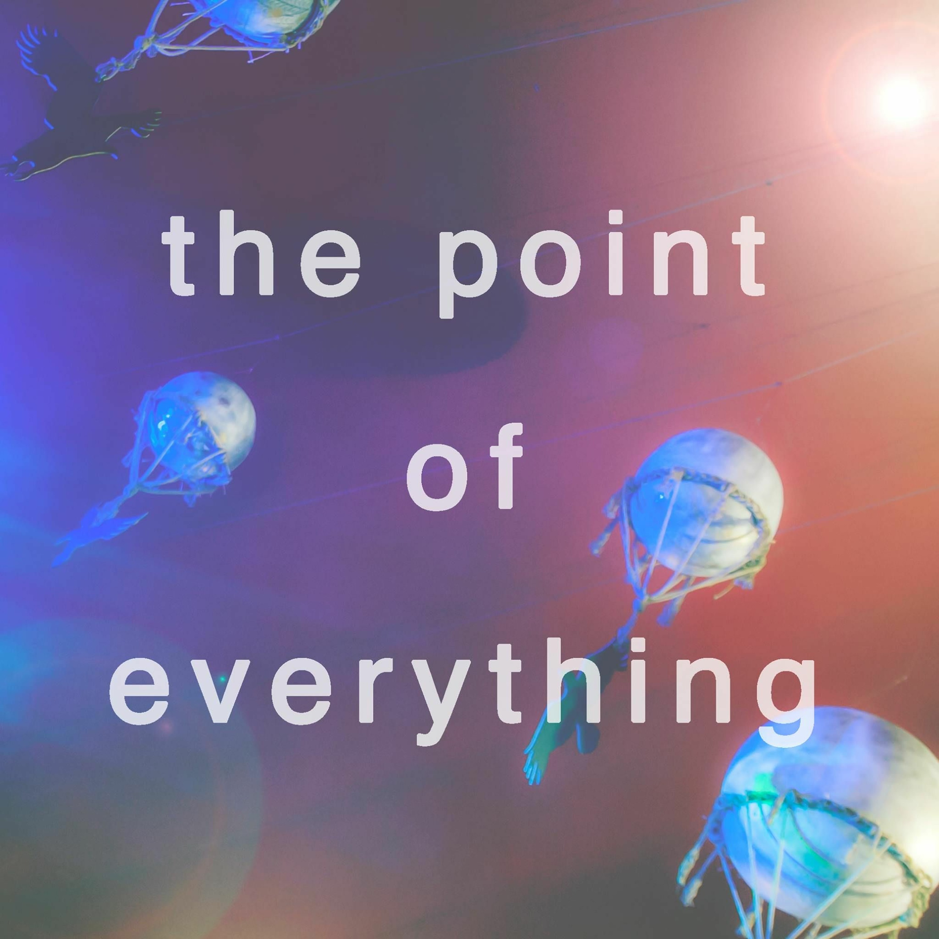 The Point of Everything