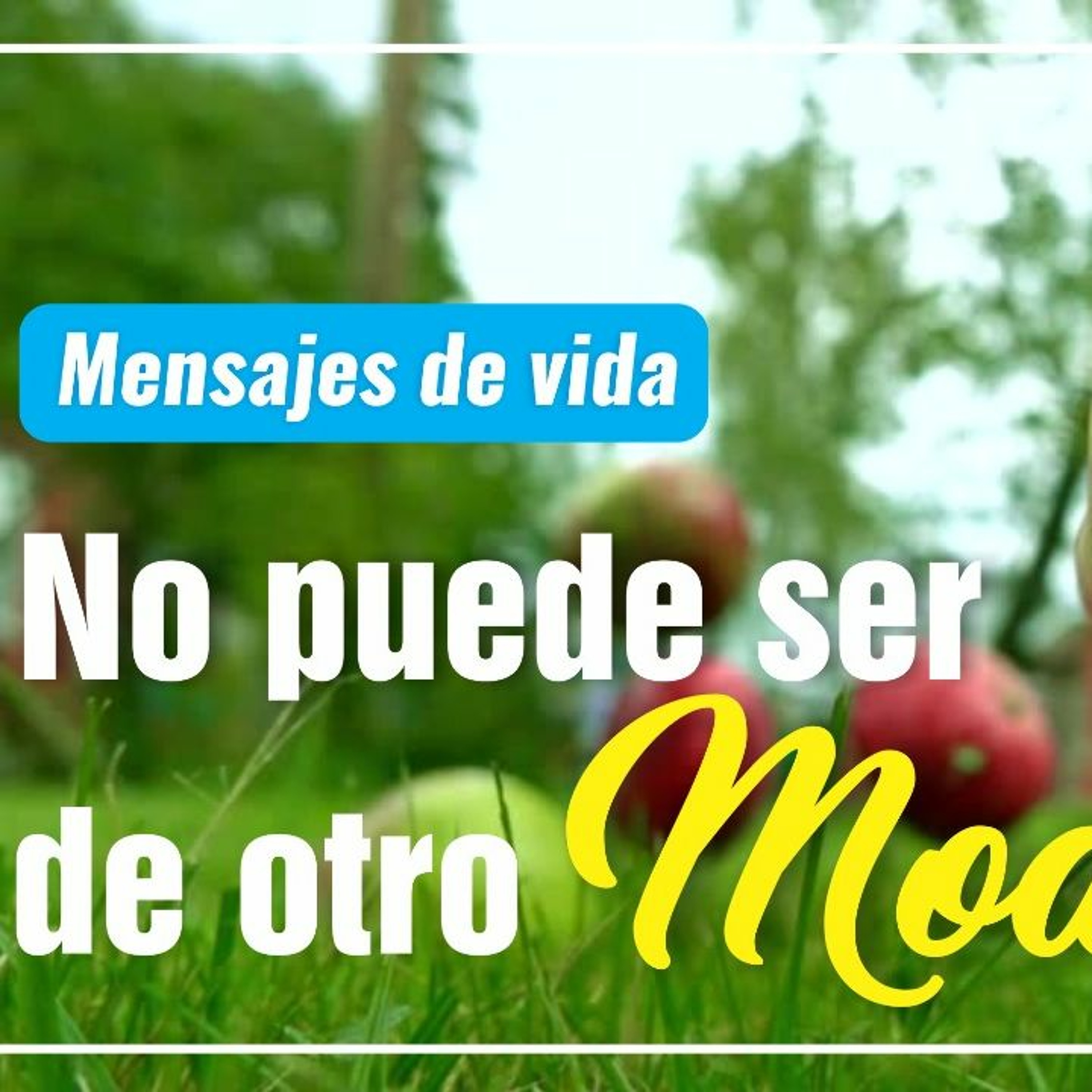 Mensajes de Vida