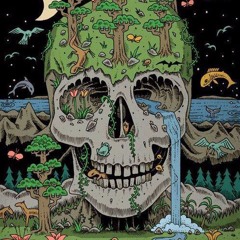 LUCID -  YUNG CASKET X LOTUS X KARDO