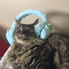 Loose paper Ft. Danny Phantom (prod. Ethan Clements)